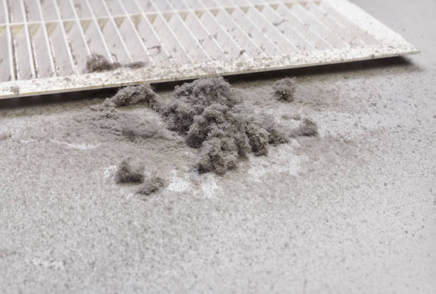 Best Air Duct Cleaning Near Me  in Lindenhurst, IL